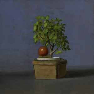 Friendly Bonsai